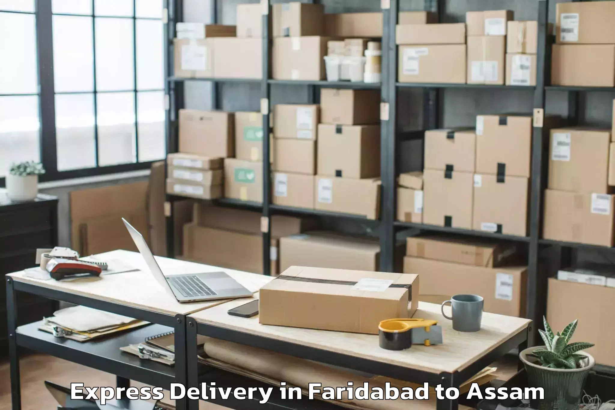 Professional Faridabad to Kampur Town Express Delivery